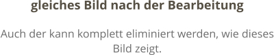 gleiches Bild nach der Bearbeitung Auch der kann komplett eliminiert werden, wie dieses Bild zeigt.